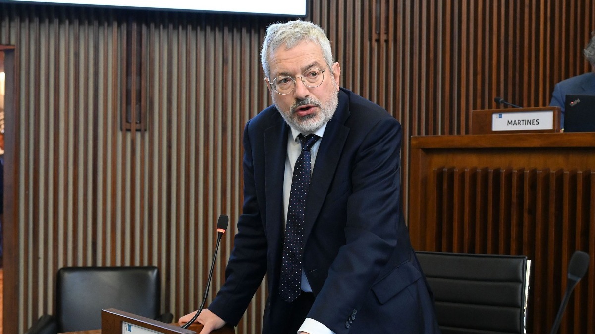 Piante invasive ai bordi delle strade, il caso arriva in Regione: attenzione su Cividalese e Natisone - 