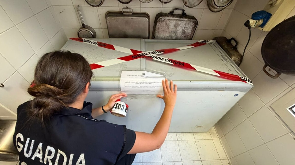 Ristorante chiuso dopo il blitz: trovate blatte e pesce non tracciato - 