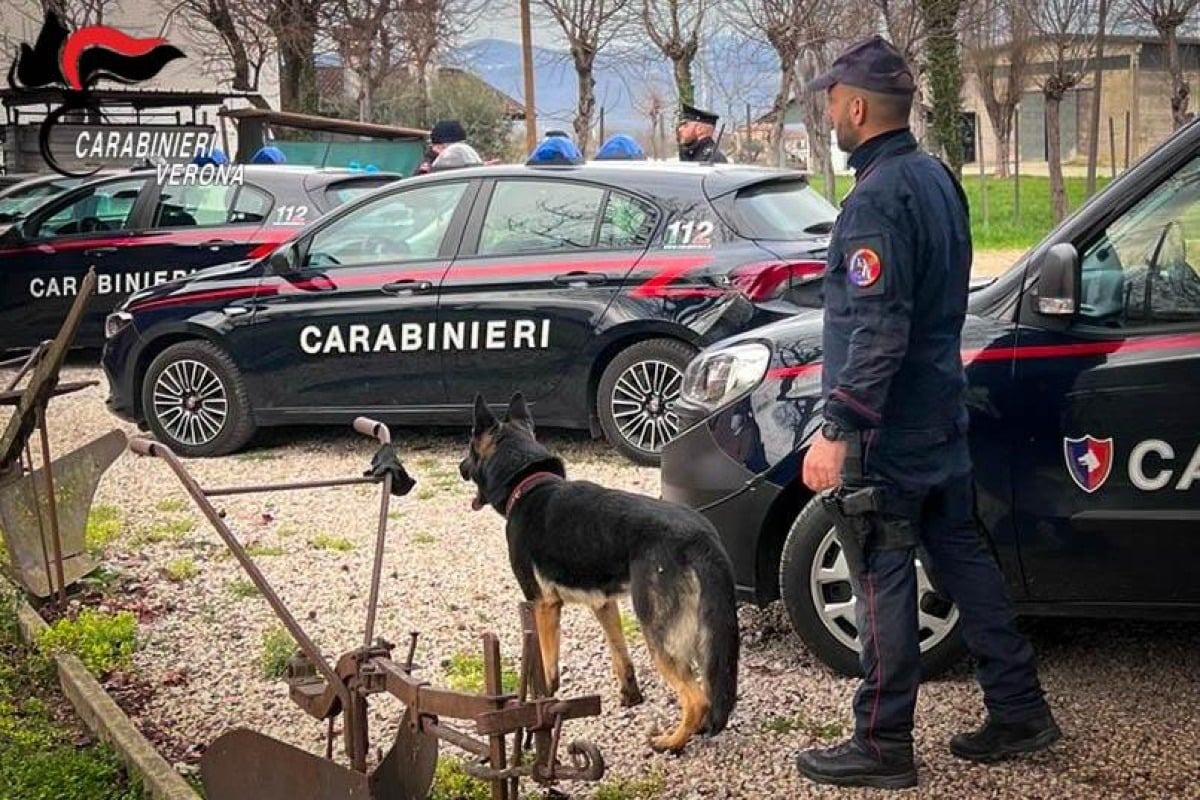 Terrazzo, droga e contanti nascosti in casa: due uomini finiscono in carcere - 