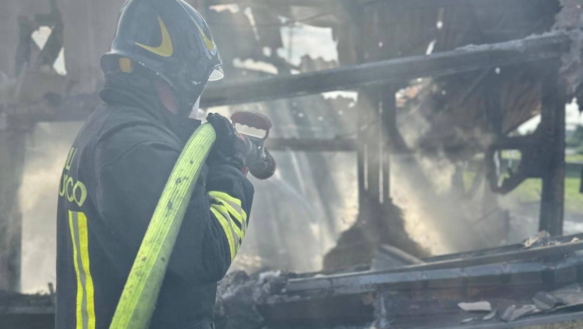 Incendio in una scuderia a Treviso: morti sei cavalli, Vigili del fuoco al lavoro | VIDEO - 