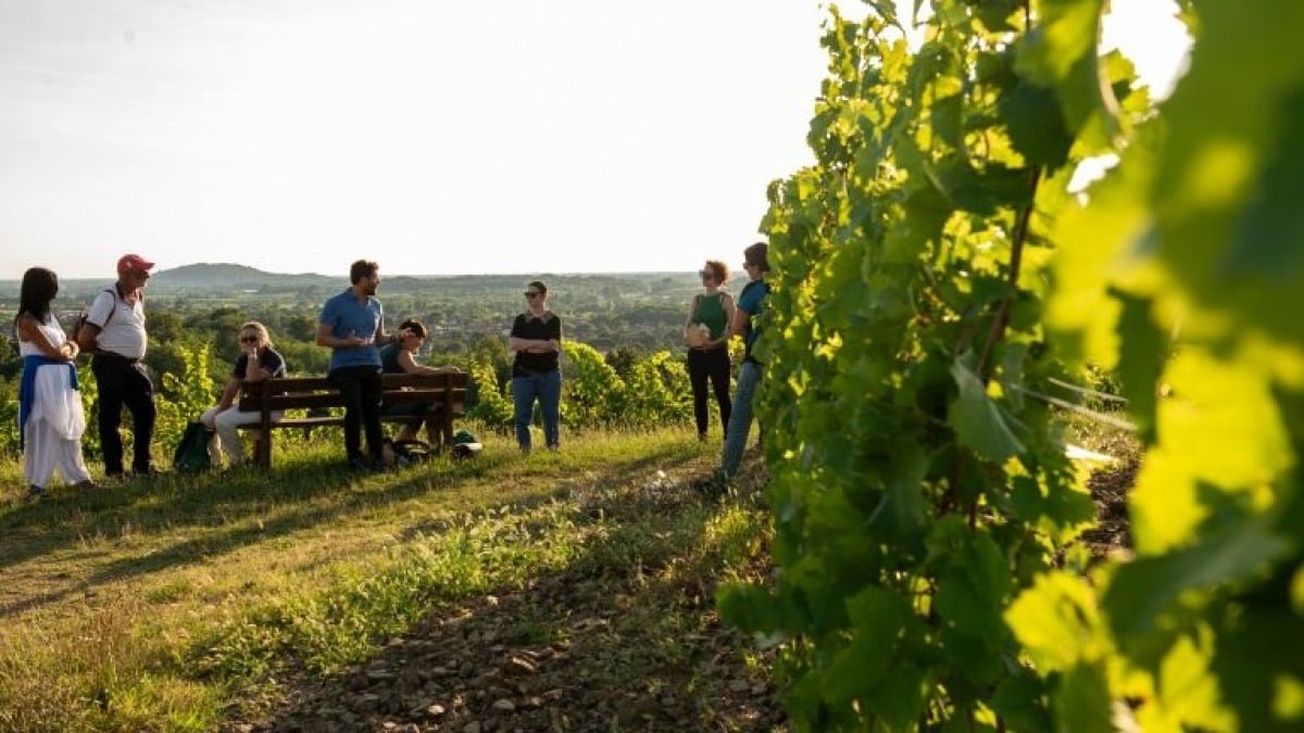Nel Collio l’ultimo atto di Cinebike: tre giornate tra cinema, calici e musica dal vivo - 