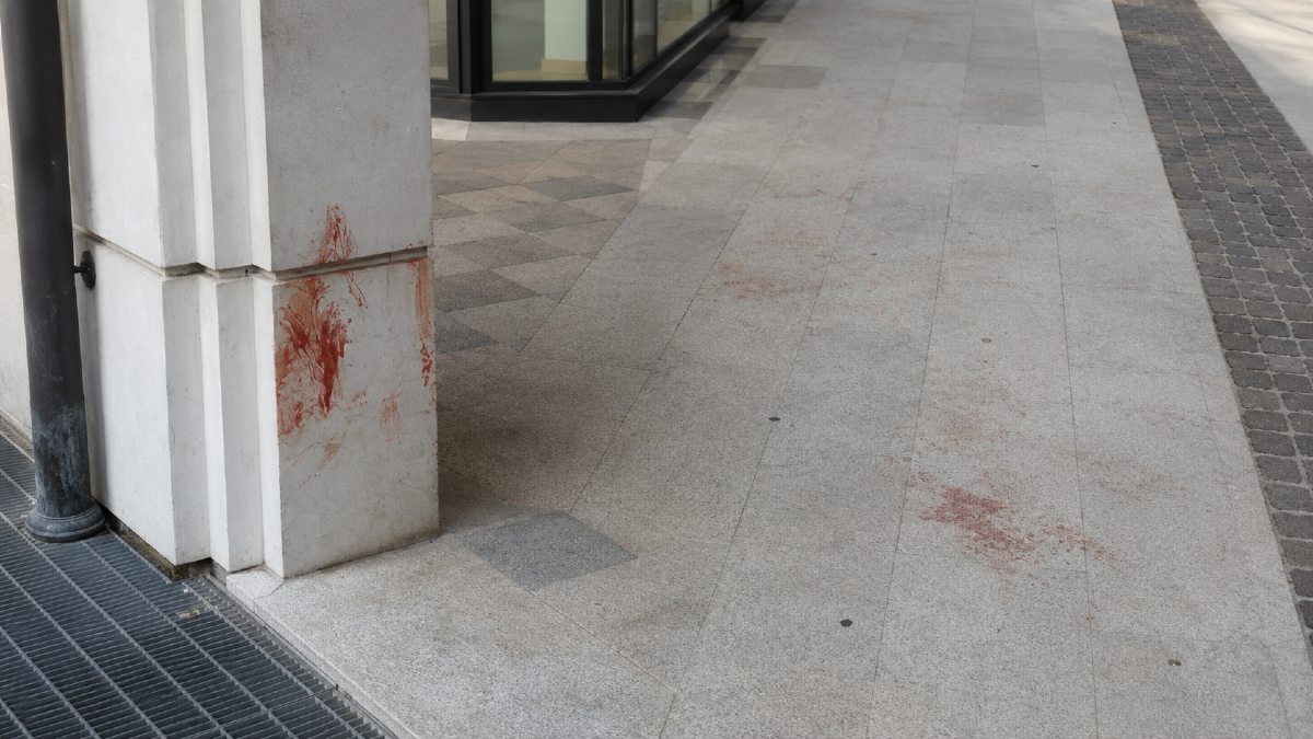 Notte di violenza in centro a Pordenone, giovane ricoverato dopo una ferita al torace - 
