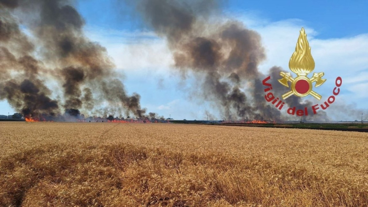 Inferno nei campi: sei ettari di grano divorati dalle fiamme - 