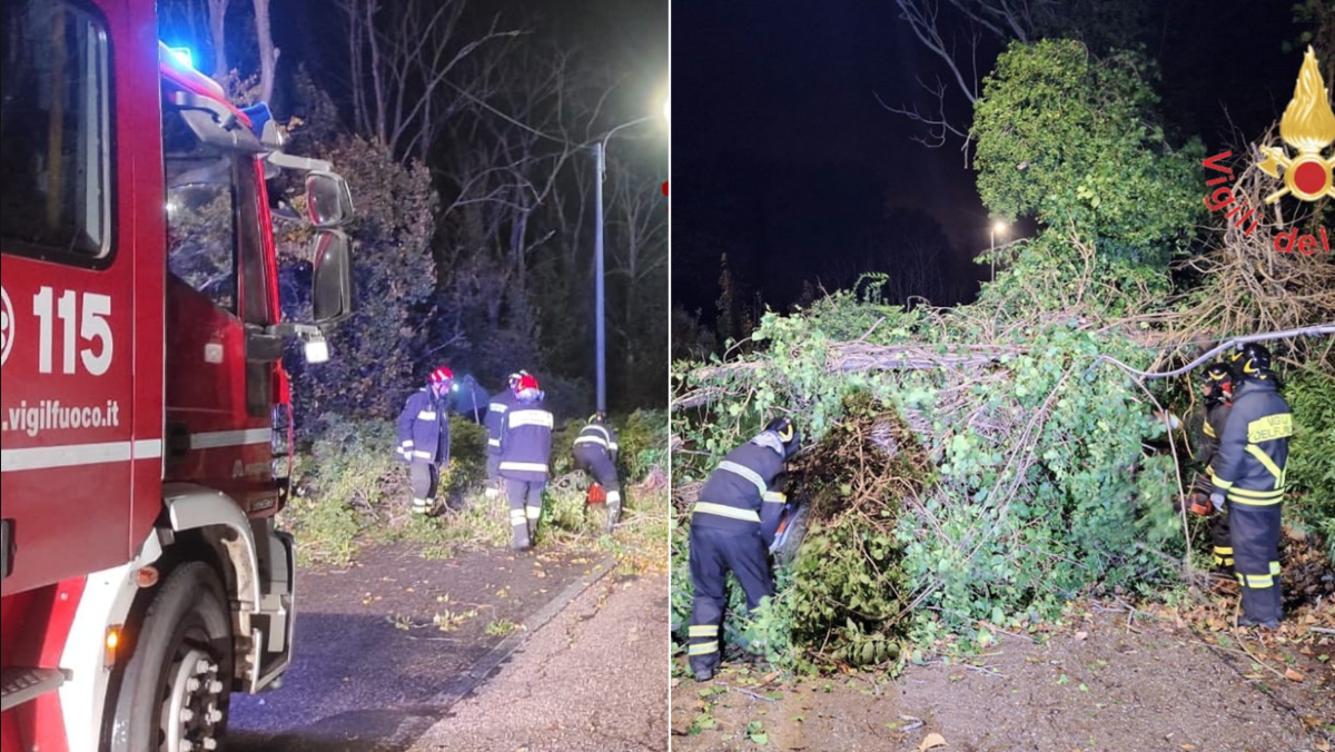 Raffiche violentissime tra Friuli e Veneto: alberi abbattuti e coperture divelte - 