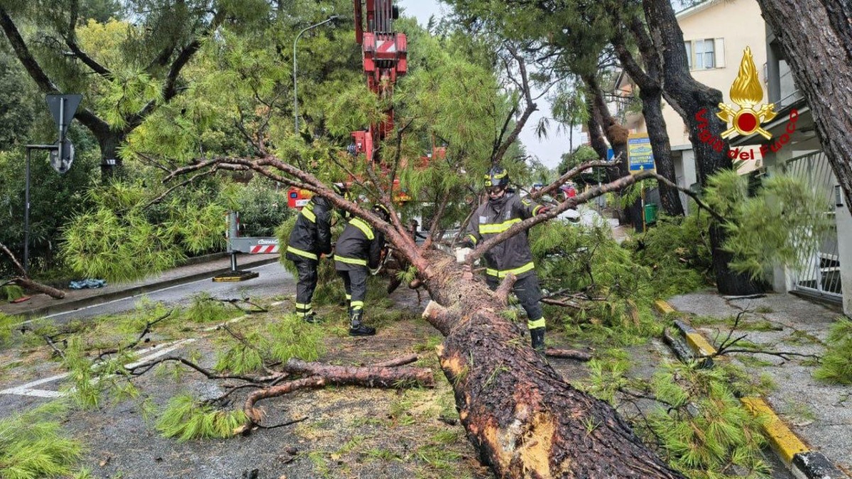 Maltempo in Friuli Venezia Giulia: oltre 100 interventi nella notte, 50 ancora in coda  - 