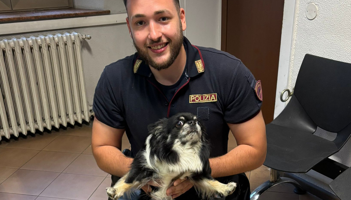 Cane in fuga per il temporale, rischia di essere investito: salvato dalla Polizia - 