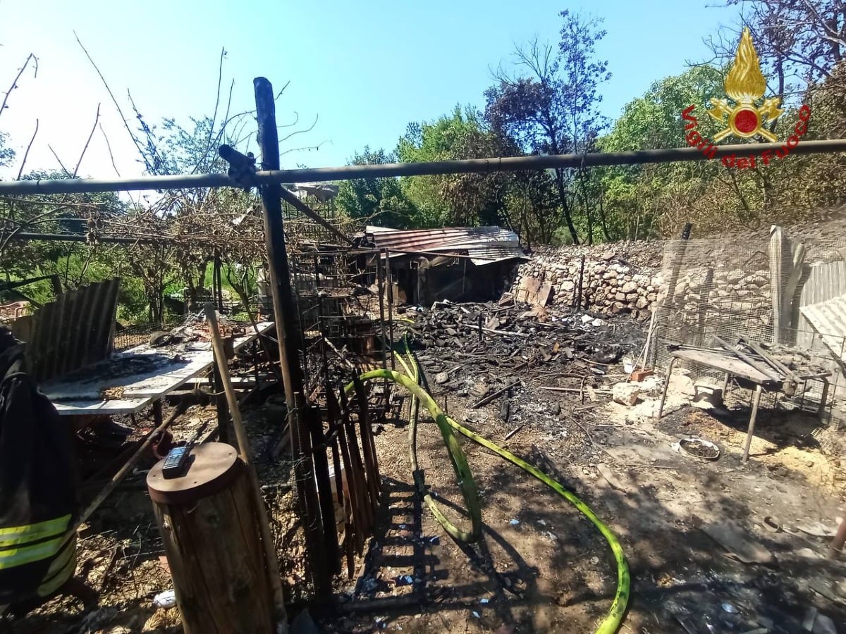 Incendio nell’orto: 79enne ustionato mentre tenta di spegnere le fiamme - 