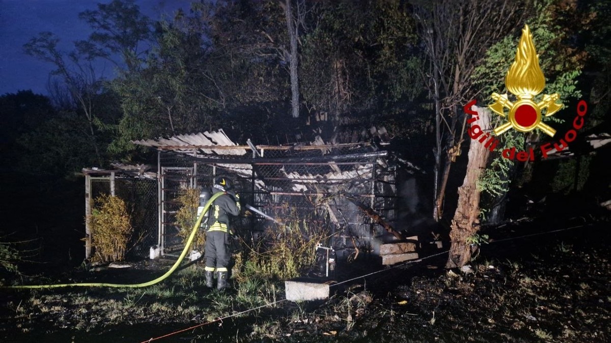 Baracca di legna in fiamme, il rogo corre verso il bosco: evitato il peggio - 