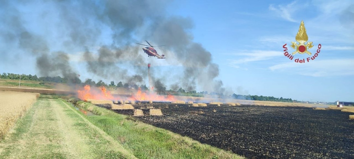 Trenta ettari di campo di grano distrutti dalle fiamme | VIDEO - 
