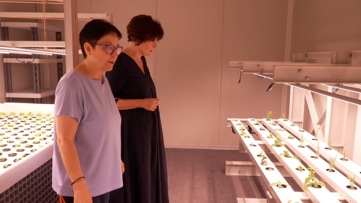 San Vito, al Don Luigi Monza nasce una serra hi-tech per la formazione di 60 ragazzi con disabilità - 
