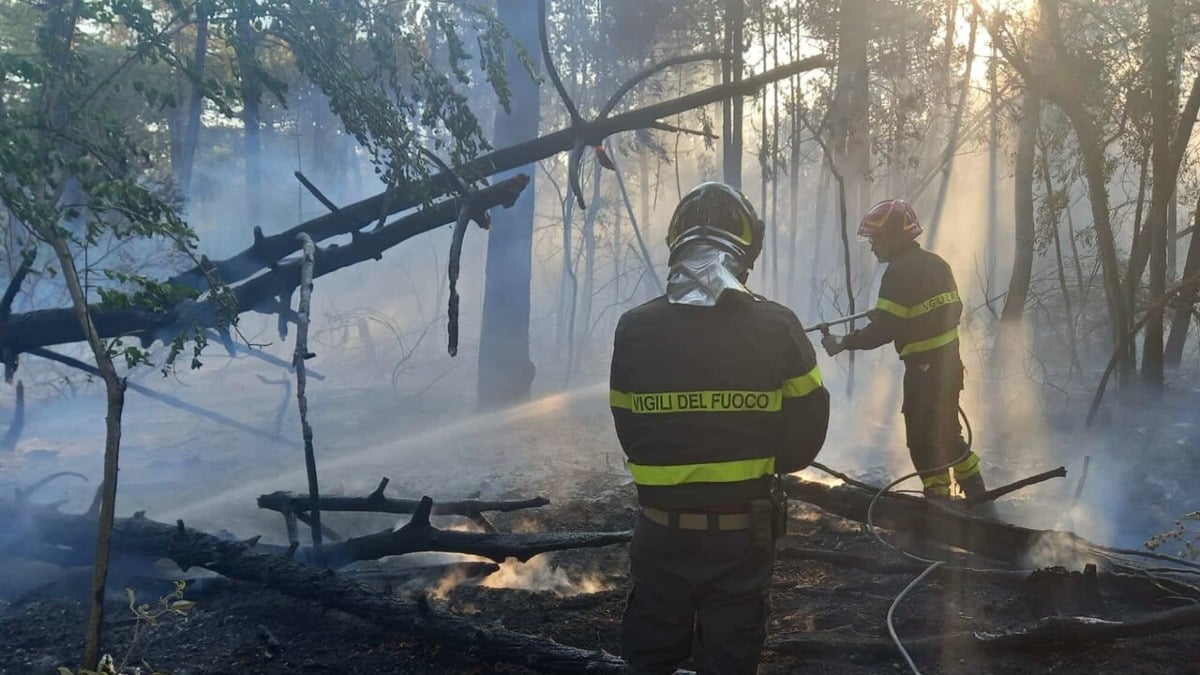 Bibione, incendio nella pineta: pompieri da 3 distaccamenti, in volo l'elicottero - 