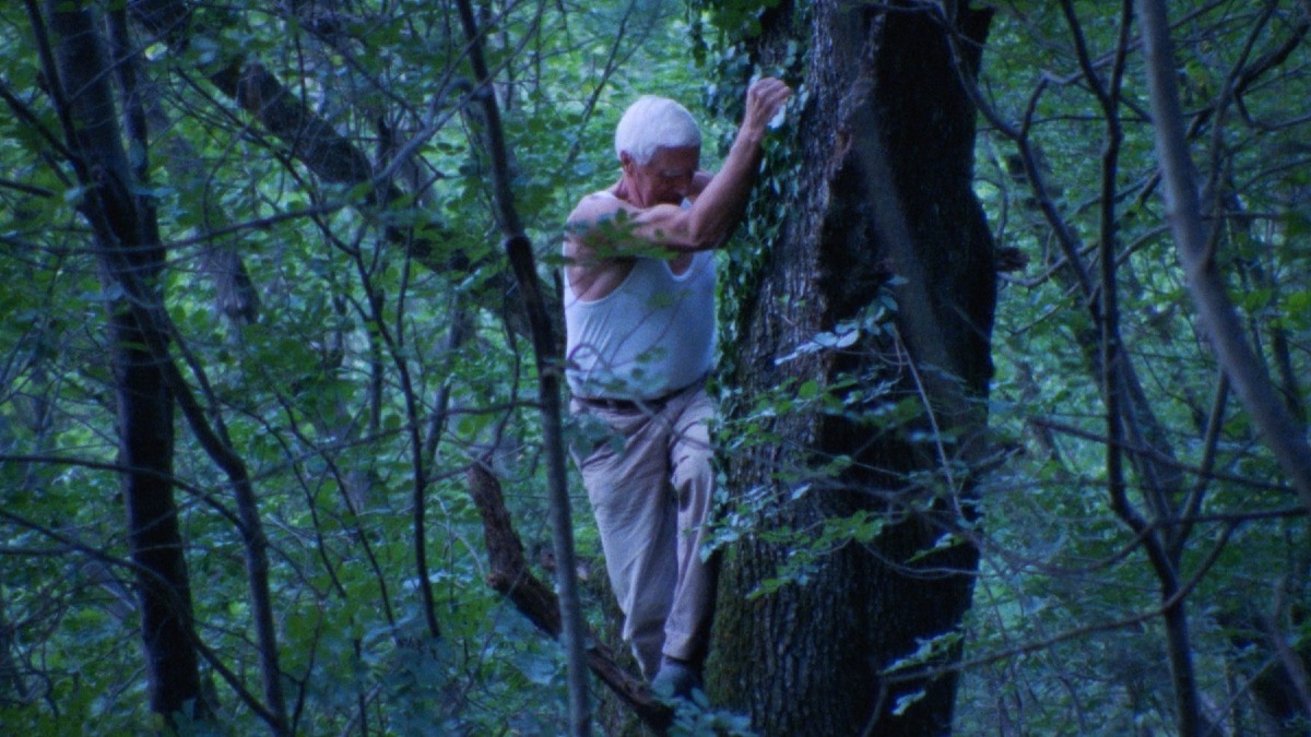 ShorTS IFF a Trieste, il 29 giugno 2026 tra cinema immersivo, corti per ragazzi e Eco-ShorTS - 