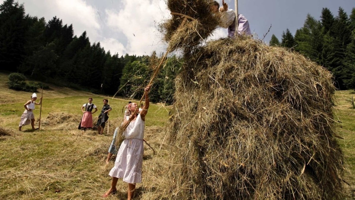 Sutrio, il 19 luglio torna Fasjn la mede: fienagione, picnic e giochi nei prati dello Zoncolan - 