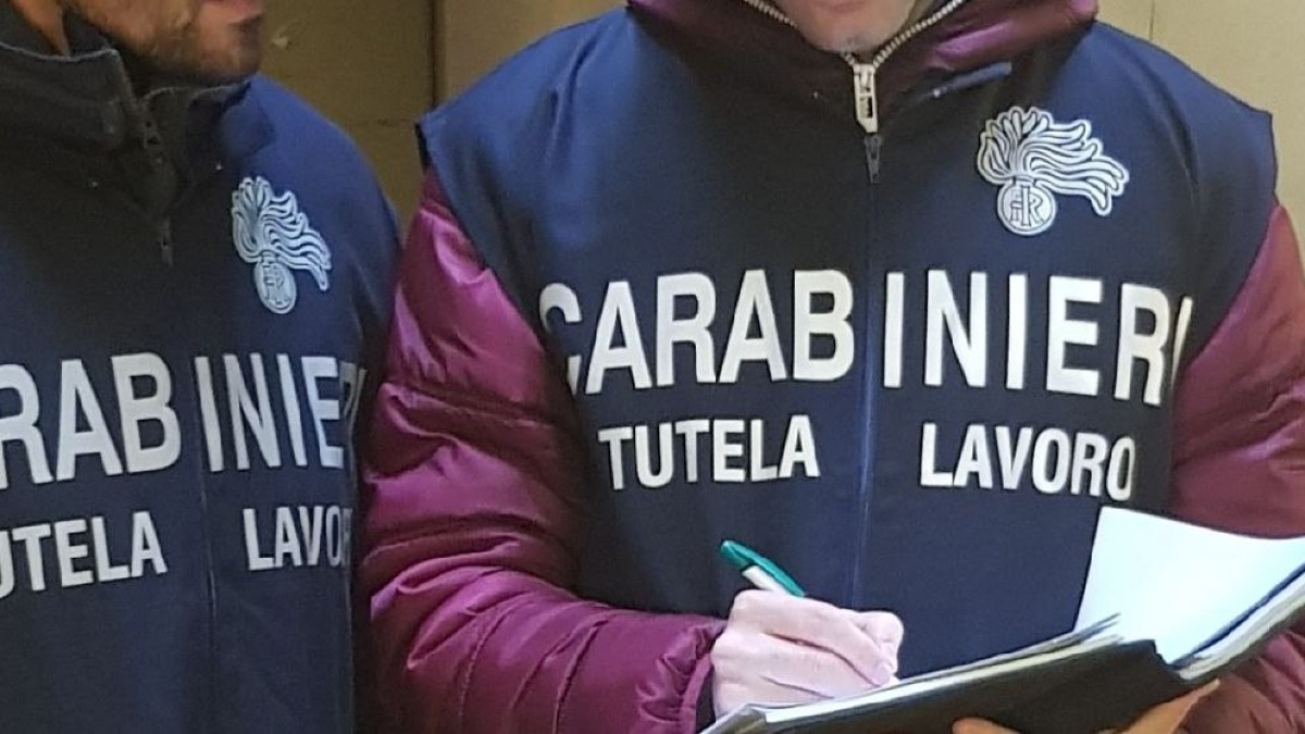 Caricano 16mila polli, ma i lavoratori non erano formati sulla sicurezza: maxi multa - 