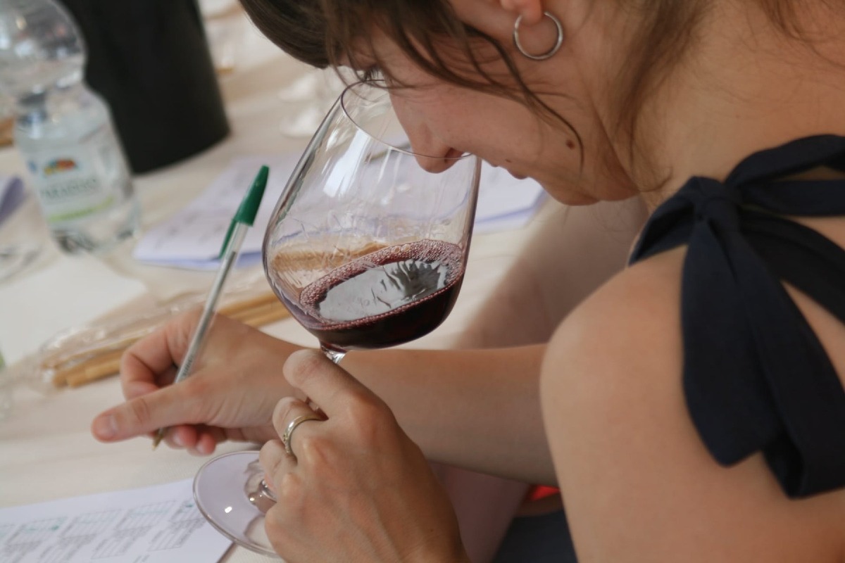 Calice Dora 2026, a ItinerAnnia premiati i migliori vini della DOC Annia