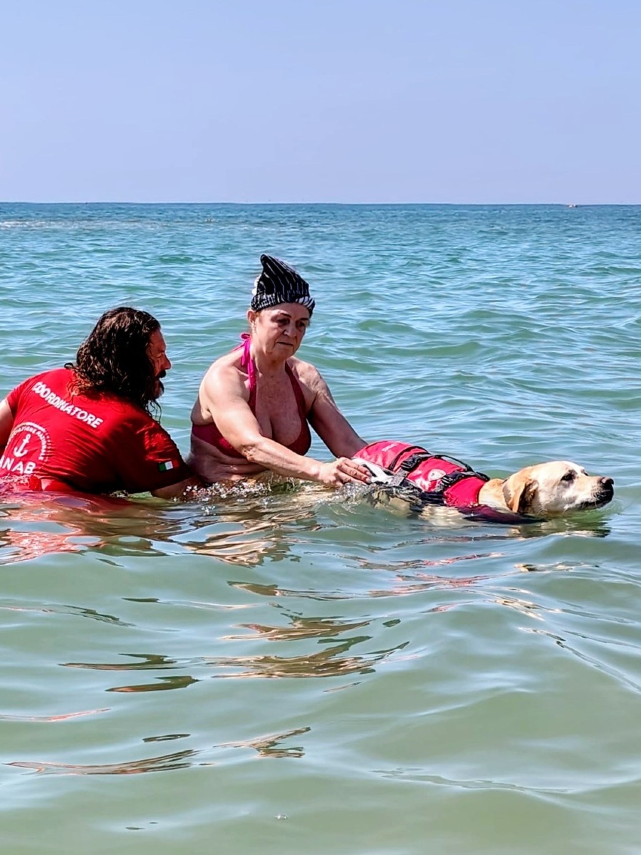 Jesolo, due giorni con “Luce a 4 Zampe” per sostenere i cani guida