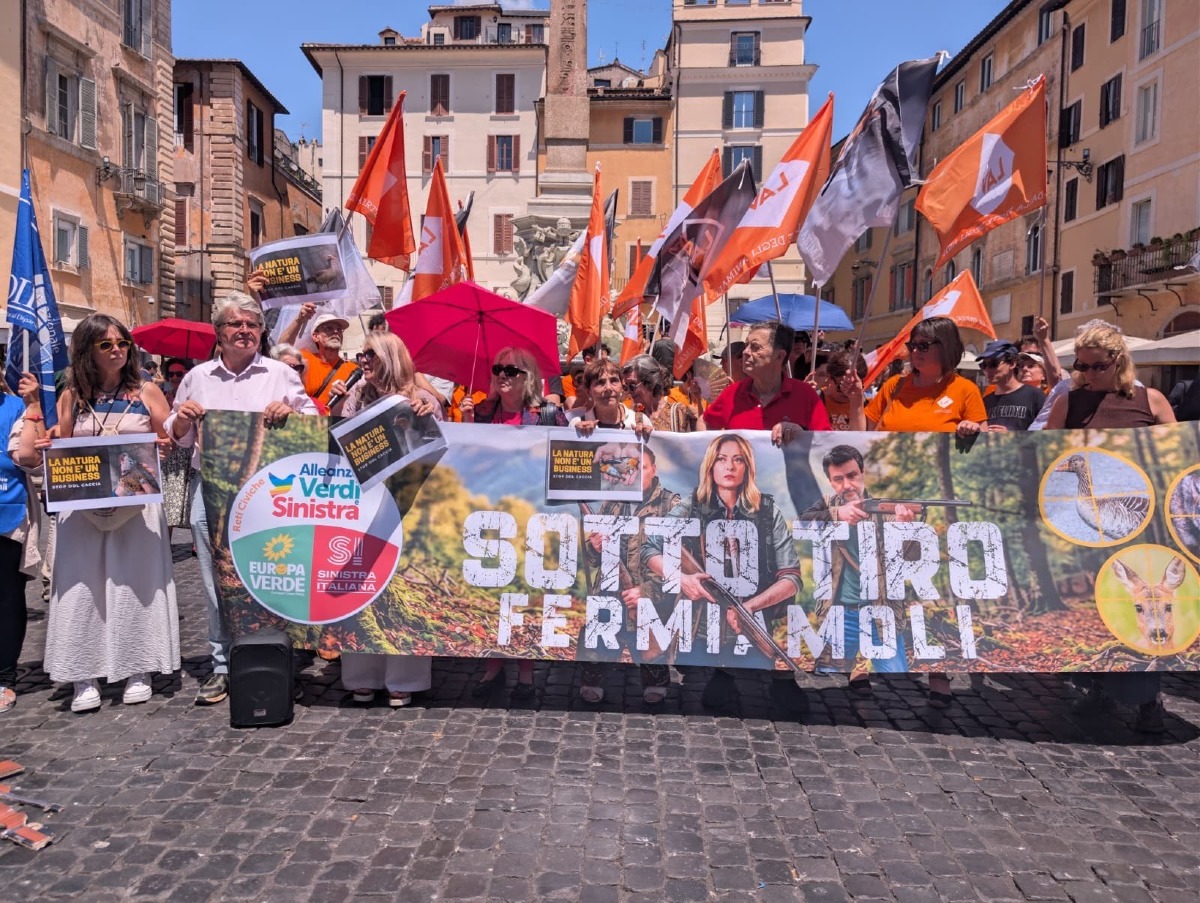 Ddl caccia 1552, Zanoni in piazza a Roma: "Si potrà cacciare anche su spiagge e terreni