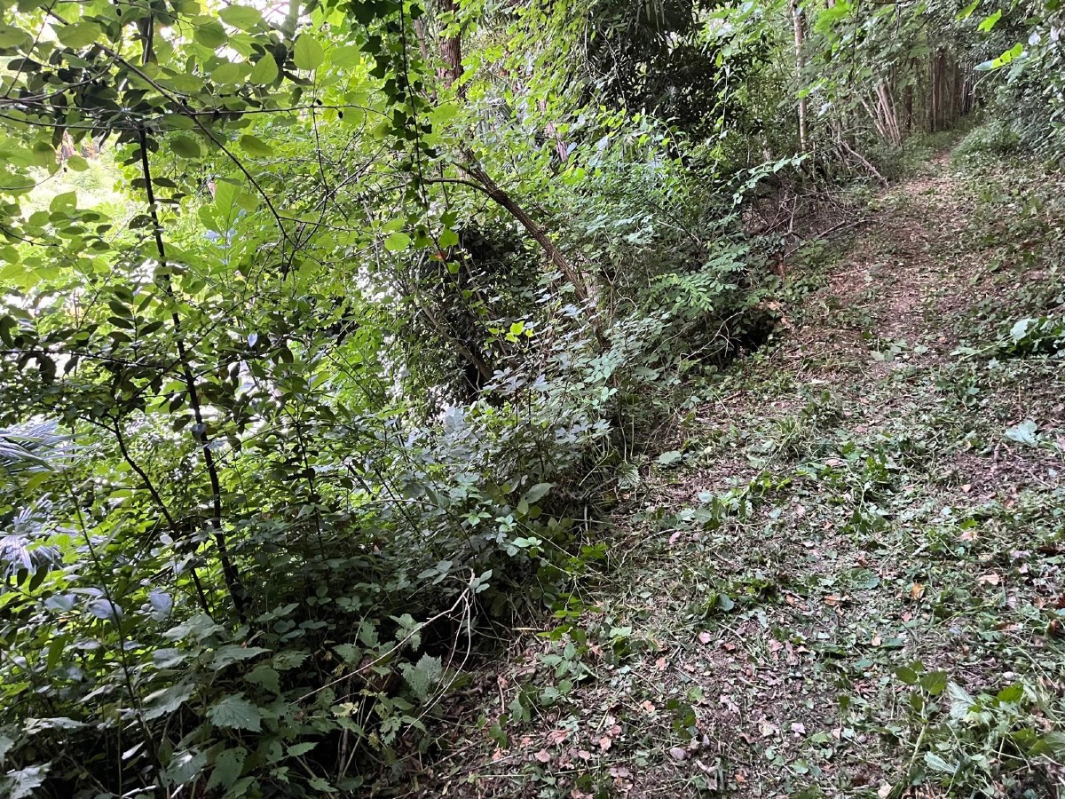 Sentieri delle Pro Loco arriva a Premariacco: camminata di 6-7 chilometri il 28 giugno