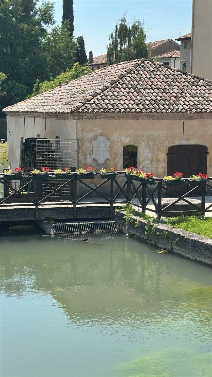 Nove anatroccoli intrappolati nella griglia sul Lemene: salvataggio a Portogruaro