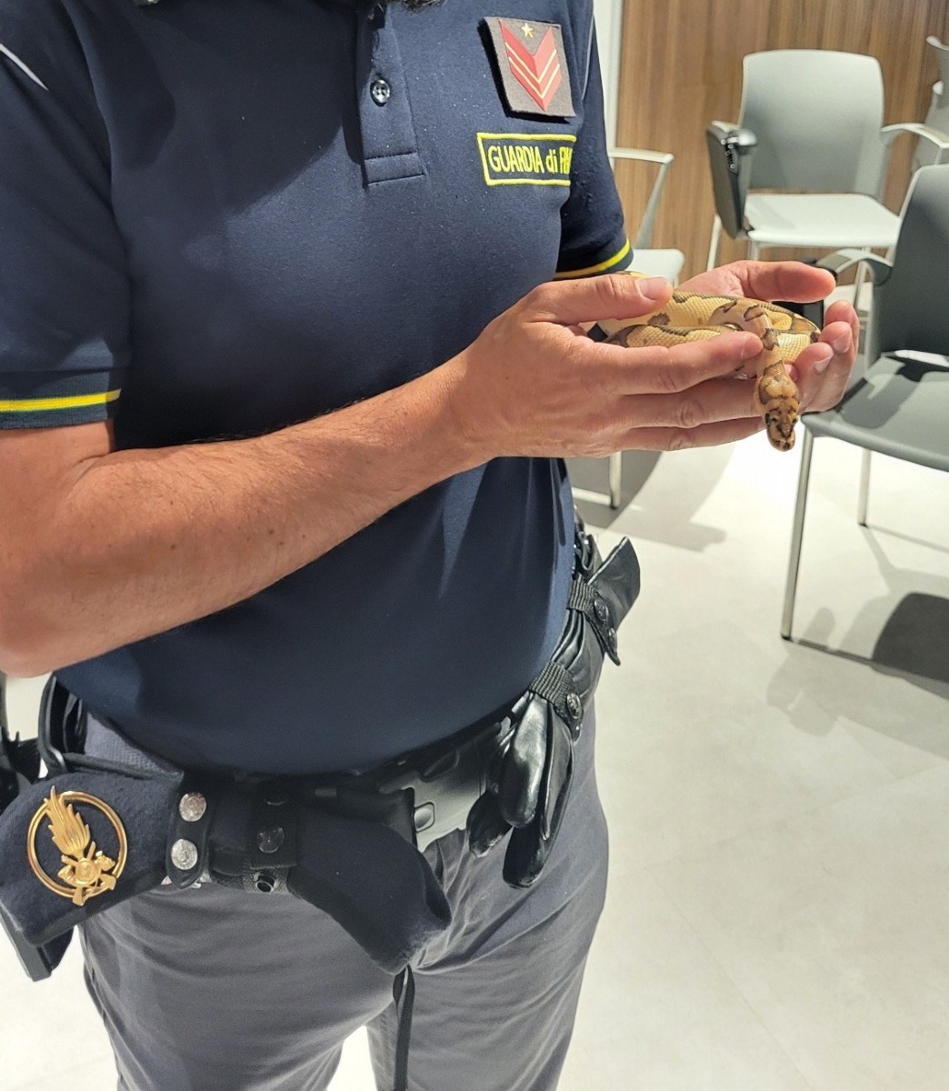 Jesolo, corso al Tropicarium per la Guardia di Finanza sugli animali esotici in aeroporto