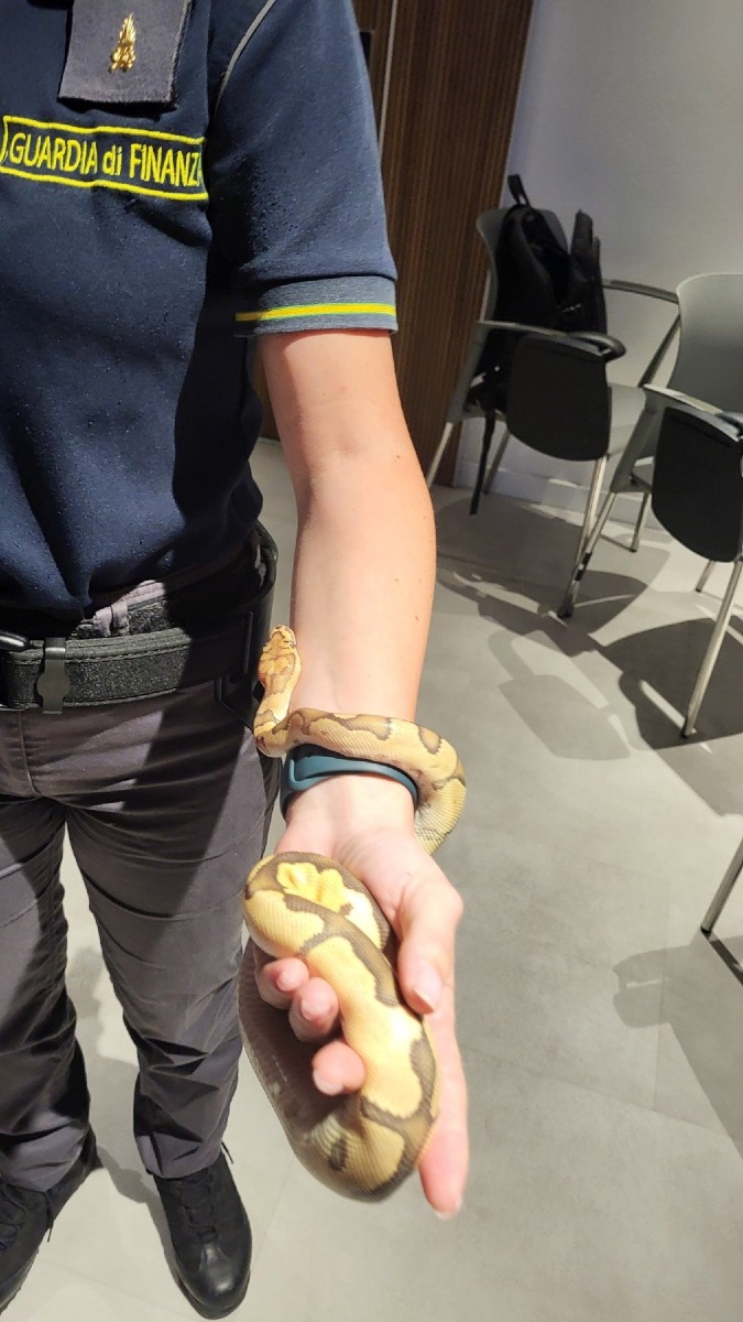 Jesolo, corso al Tropicarium per la Guardia di Finanza sugli animali esotici in aeroporto