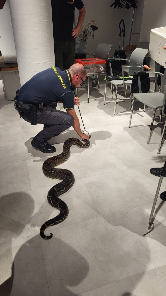 Jesolo, corso al Tropicarium per la Guardia di Finanza sugli animali esotici in aeroporto