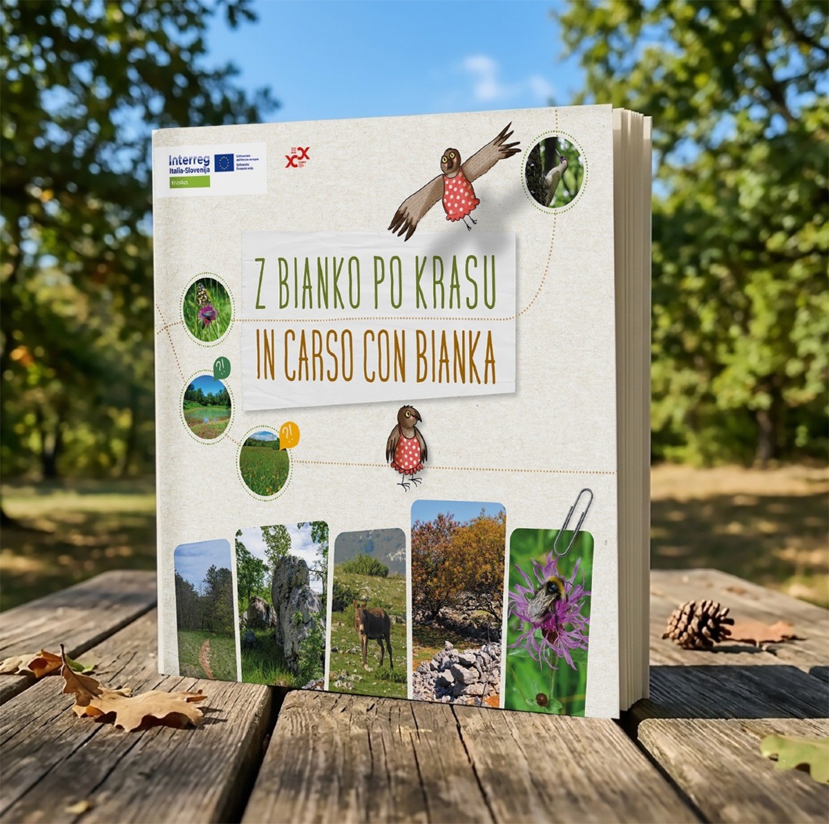 Carso, un libro bilingue e un Memory per le scuole: i risultati del progetto Kras4Us