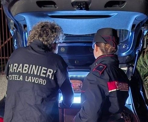 Caricano 16mila polli, ma i lavoratori non erano formati: titolare denunciata