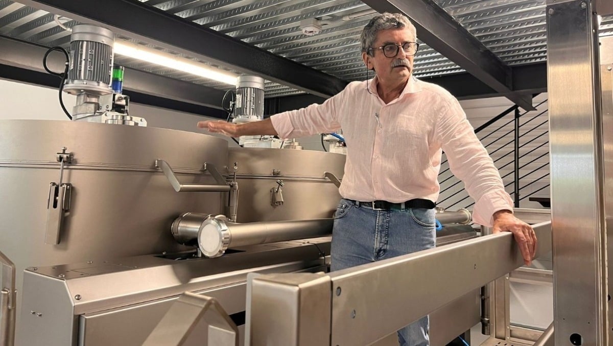 Martignacco, l’olivicoltura friulana punta sulla formazione: primo incontro dedicato alla mosca dell’olivo - 