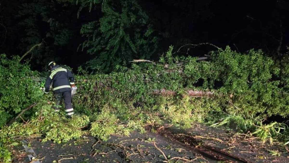 Maltempo in Veneto, oltre 400 interventi dei Vigili del Fuoco: alberi caduti e allagamenti - 