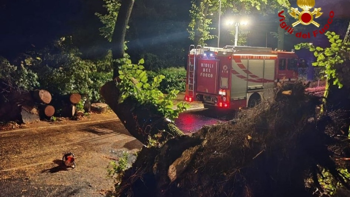 Maltempo in Friuli, temporali e vento forte. Raffiche oltre i 100 km/h: il bollettino - 