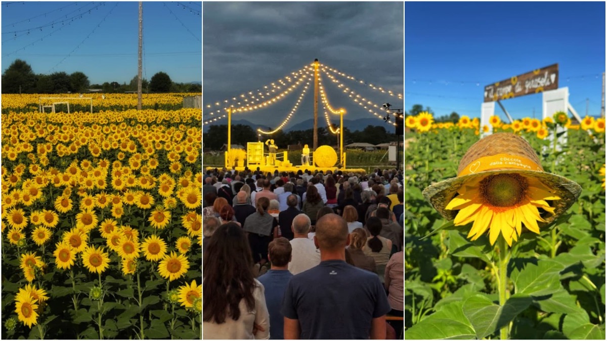 Un'estate da sogno da Nonno Andrea: tornano i Campi di Girasoli e i Frutteti Illuminati - 