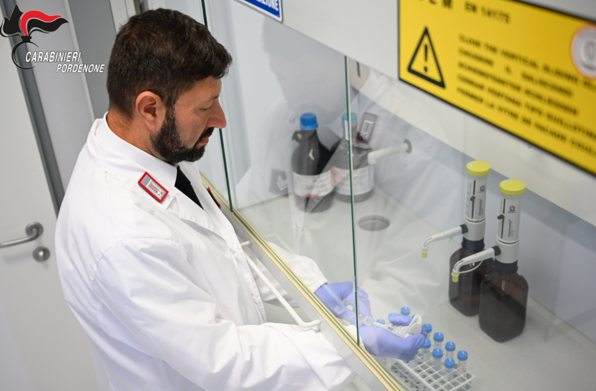 Nuova droga sintetica mai vista in Italia: la scoperta a Pordenone - 