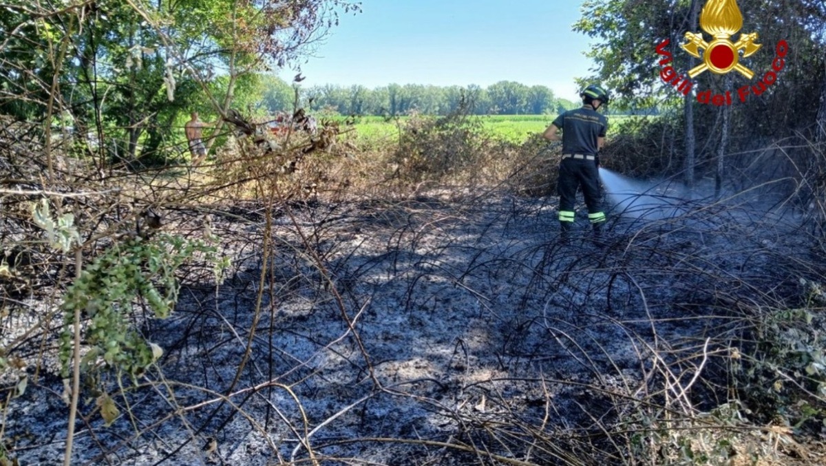 Incendio di sterpaglie a San Vito al Tagliamento: Vigili del Fuoco evitano il peggio - 