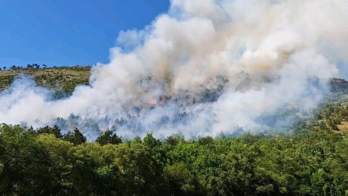 Incendio sul Carso, fiamme spinte dal vento: 100 soccorritori e 2 canadair contro il rogo - 