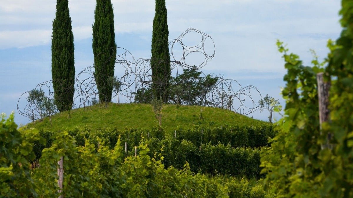 Rosazzo, il Vigne Museum apre al jazz d’autore: il 10 luglio arriva Antonello Salis - 