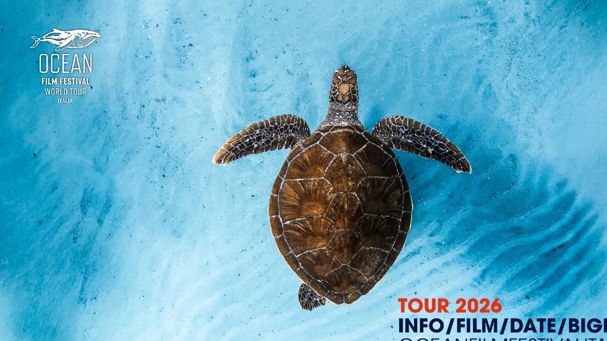 Ocean Film Festival a Udine il 22 ottobre 2026: una serata al Cinema Visionario - 