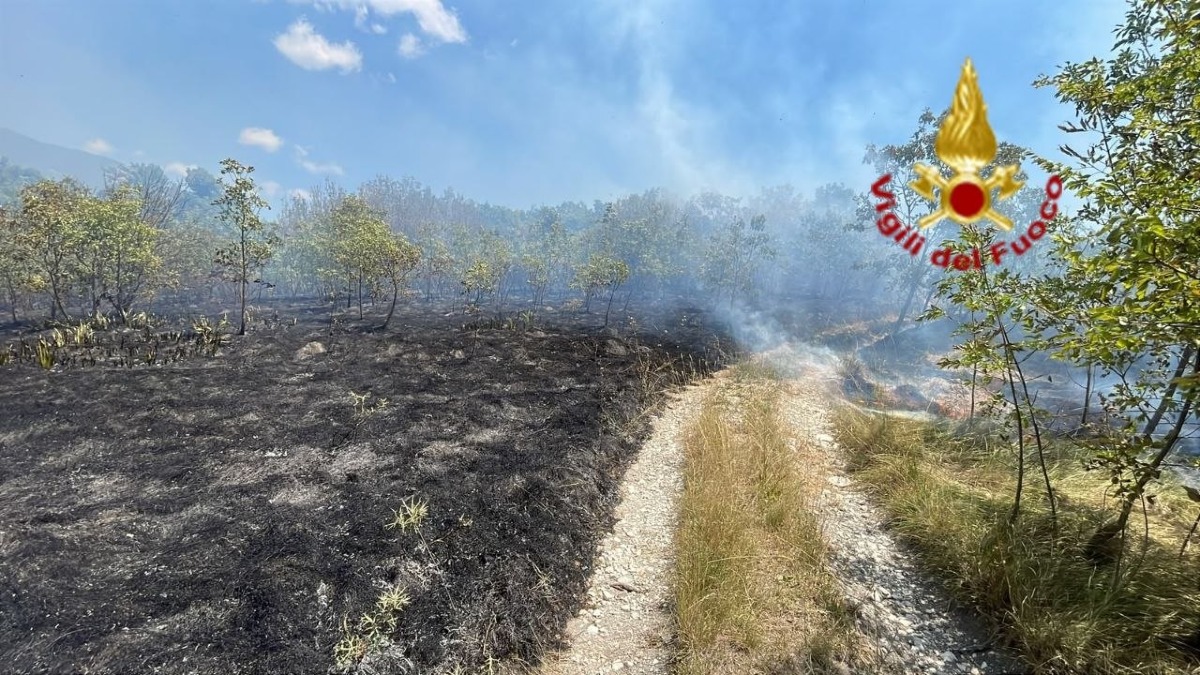 Vasto incendio nella vegetazione: le fiamme minacciano le case | VIDEO - 