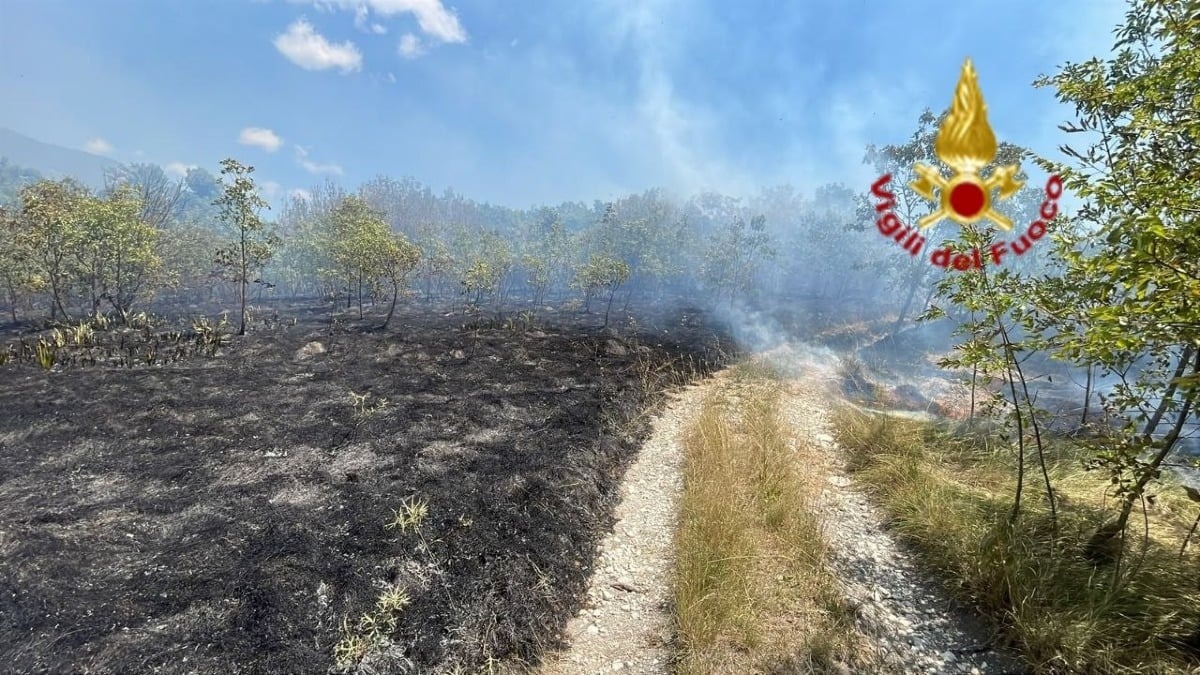 Sant’Ambrogio, incendio sul Monte: elicottero e squadre a terra evitano l’arrivo del fuoco alle abitazioni - 