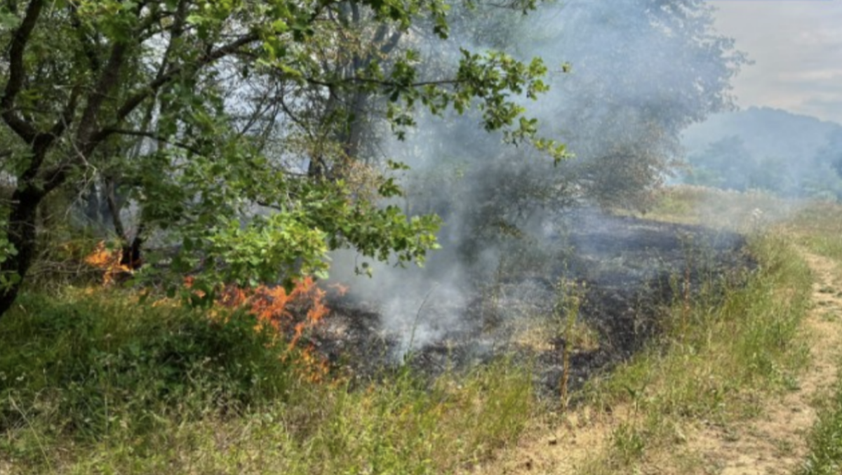 Sei incendi in FVG: Protezione Civile, elicotteri e volontari al lavoro. Il bollettino