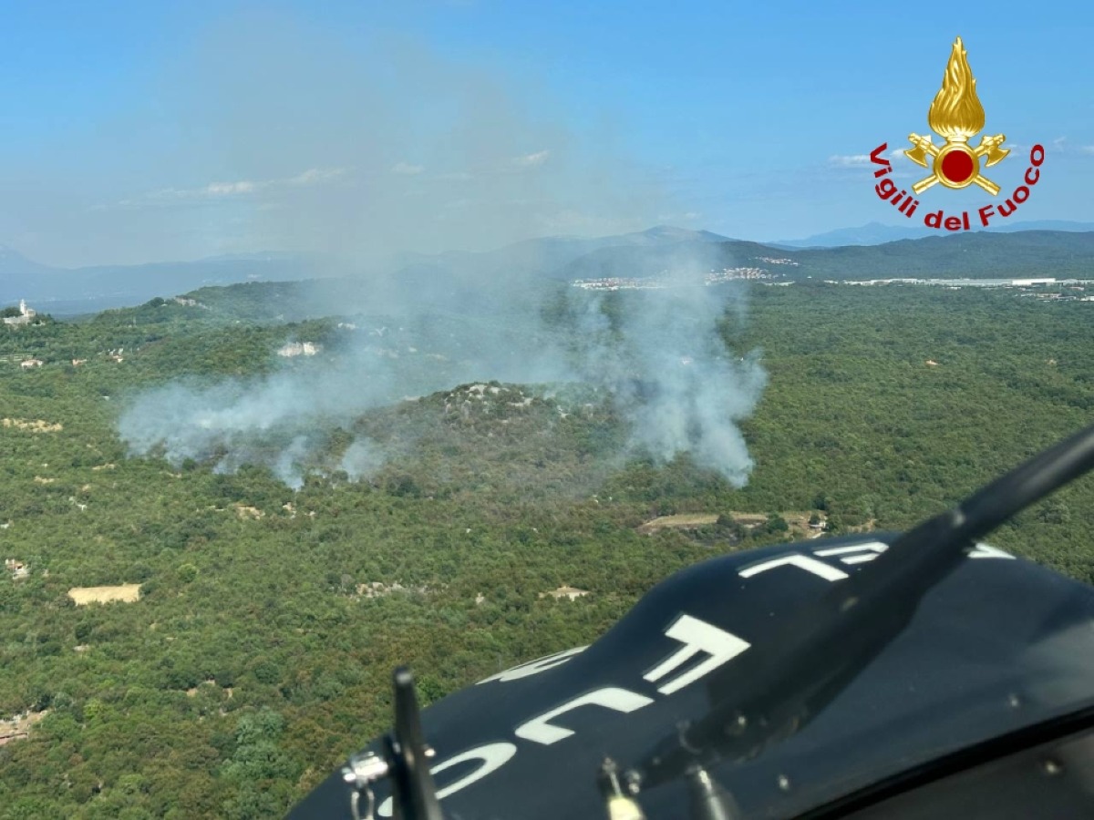 Incendio boschivo a Monrupino, fiamme verso una stalla: salvati i bovini | FOTO - 