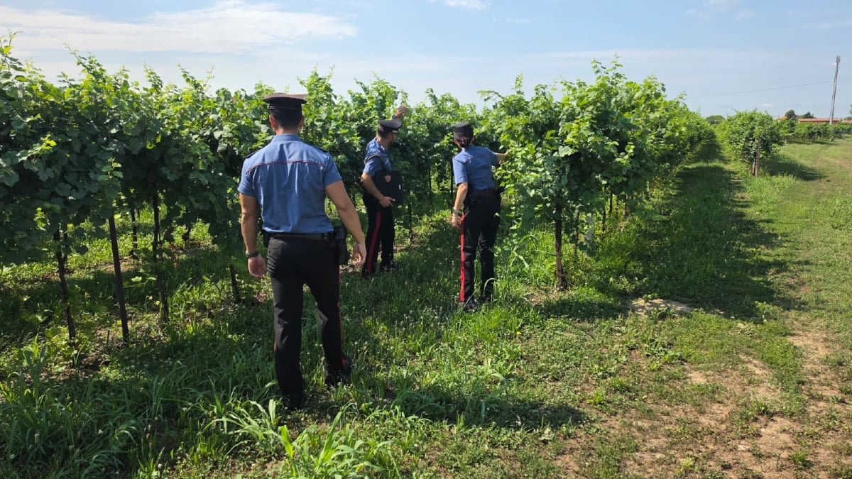 Truffa a un’anziana nel Trevigiano, recuperati i gioielli dopo la fuga in auto tra San Biagio e Breda - 