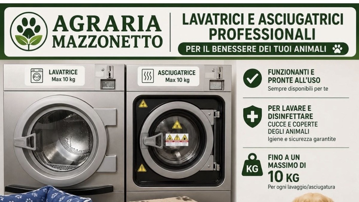 Levada di Piombino Dese, apre il self lavaggio cani con area per cucce e accessori - 