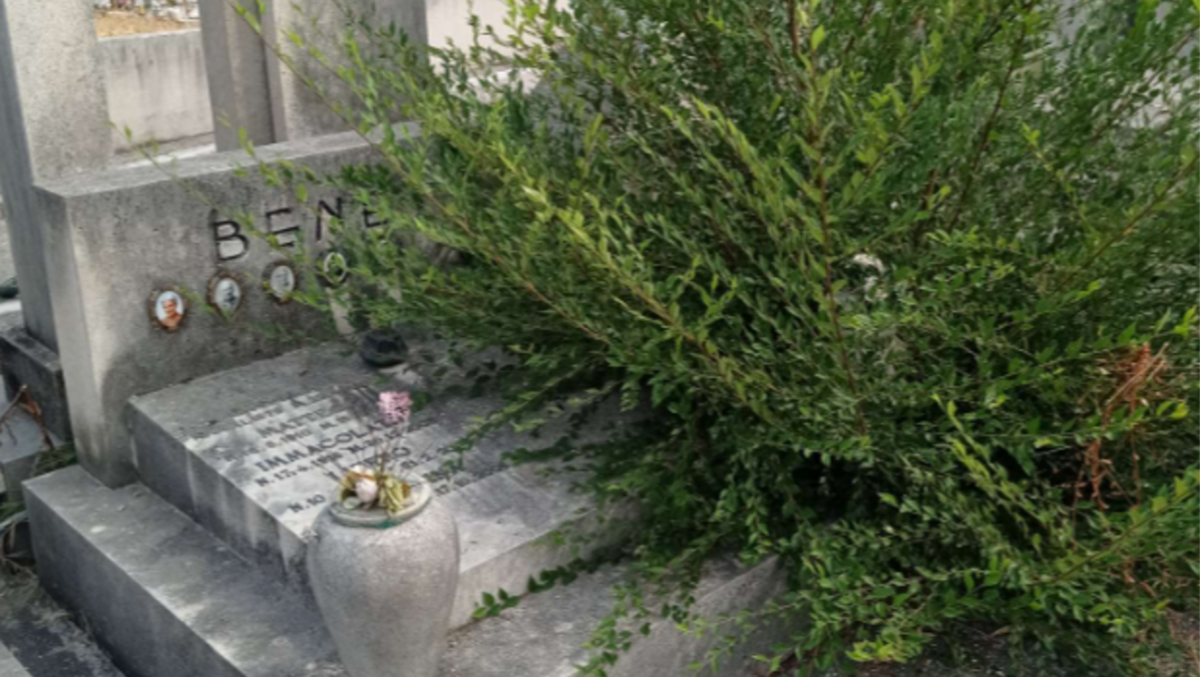 Lapidi invase da arbusti e tombe sommerse dal verde: protesta a Trieste - 