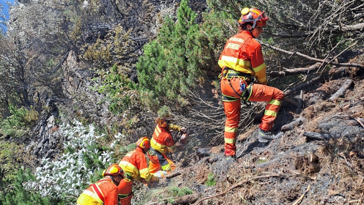 Allarme incendi in Fvg, dichiarato lo stato di massima pericolosità in tutta la regione - 