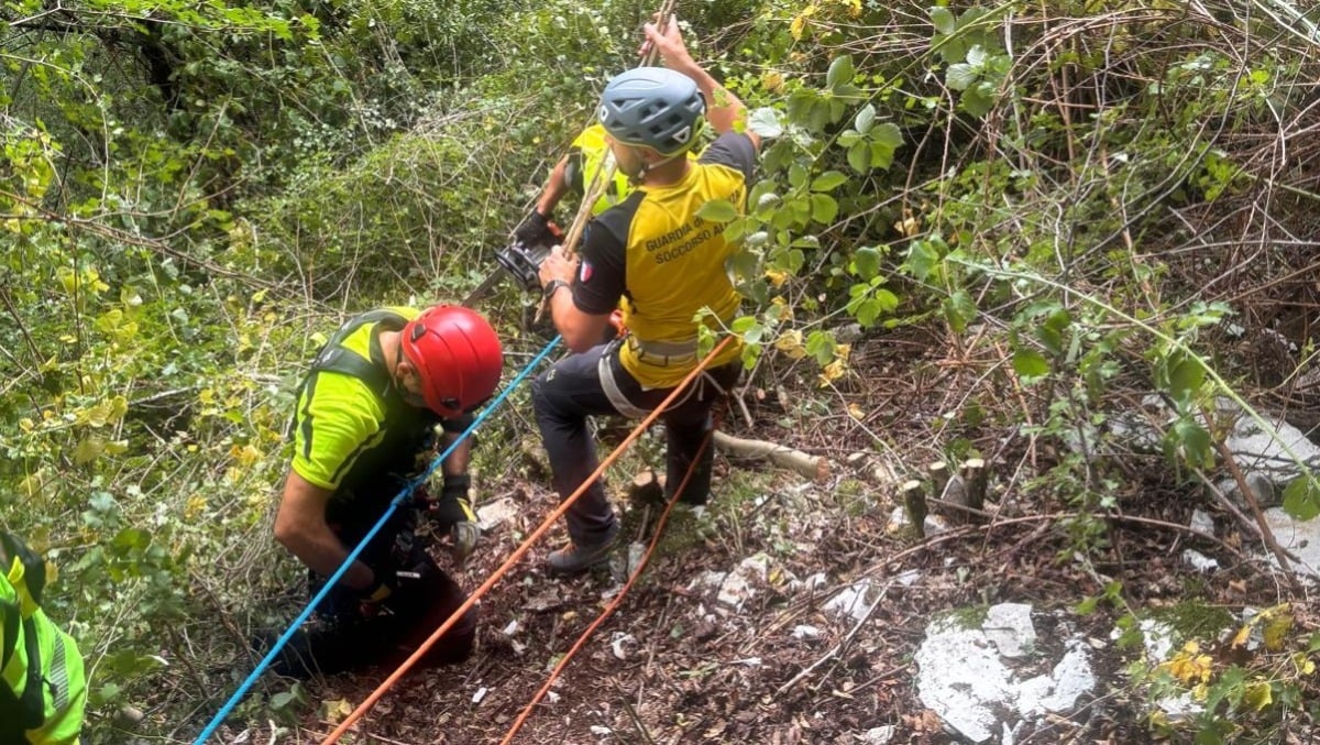 Grida d’aiuto tra i boschi, poi il silenzio: escursionista trovato senza vita - 
