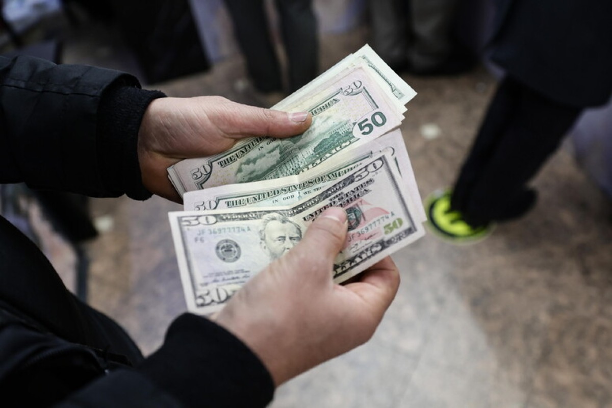 Trova una borsa con 7mila dollari, ma il Comune vuole tenersi i soldi: il giudice dà ragione a lei | VIDEO - 