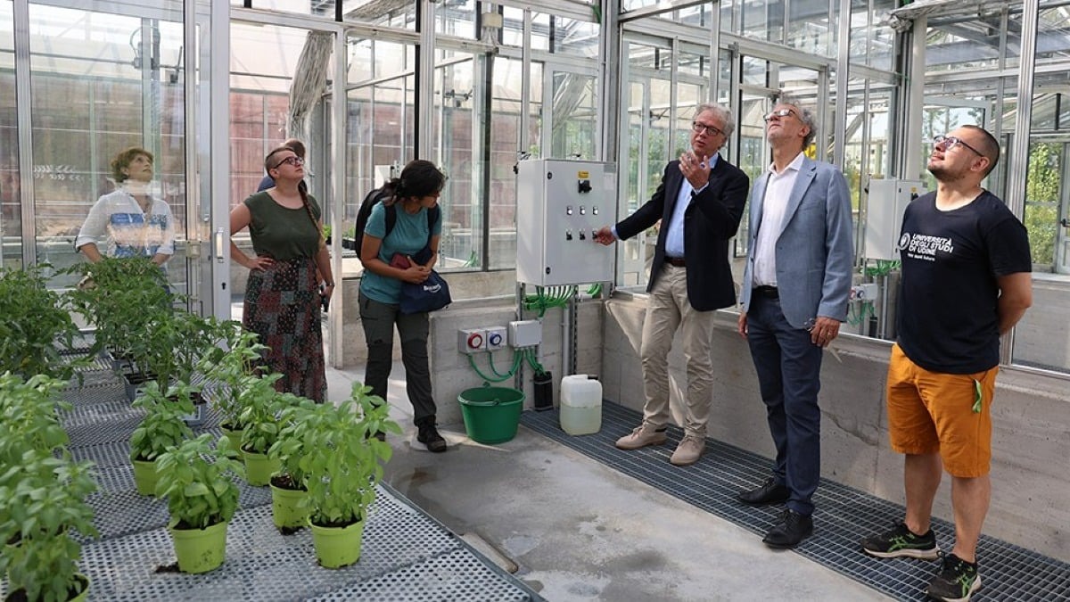 Udine investe sulla ricerca verde: all’università un nuovo polo per testare colture e stress climatici - 