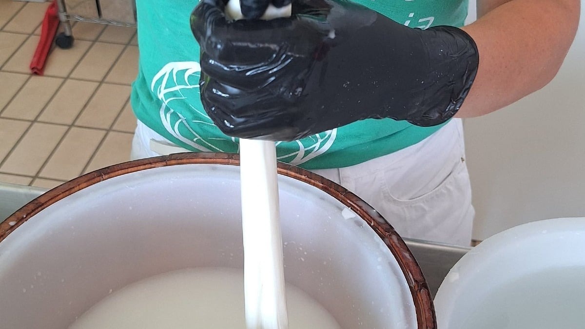Nel Trevigiano una serata dedicata alla mozzarella fatta al momento: appuntamento alla Latteria Perenzin - 