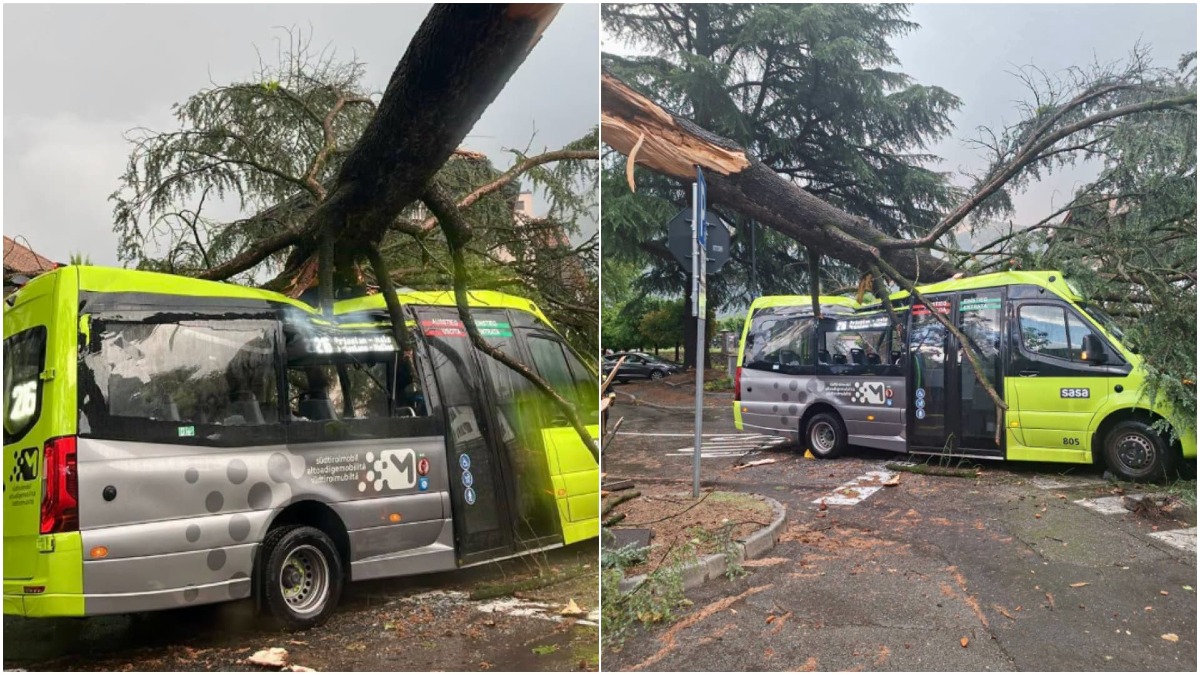 Temporali, alberi sradicati, grandine e allagamenti: è arrivato il maltempo a Nordest | VIDEO - Il maltempo in Alto Adige